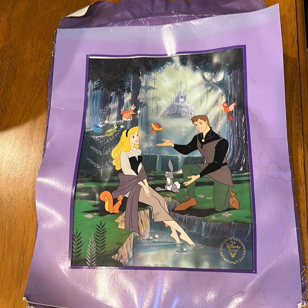 Disney sleeping beauty lithograph with frame and sleeve.